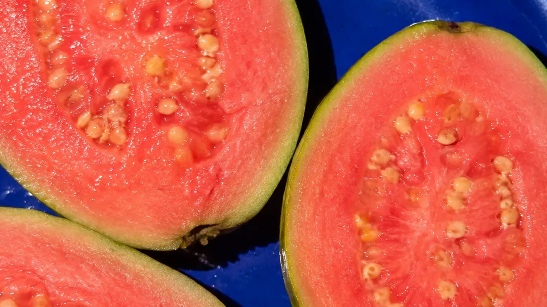 Pink guavas on deep blue