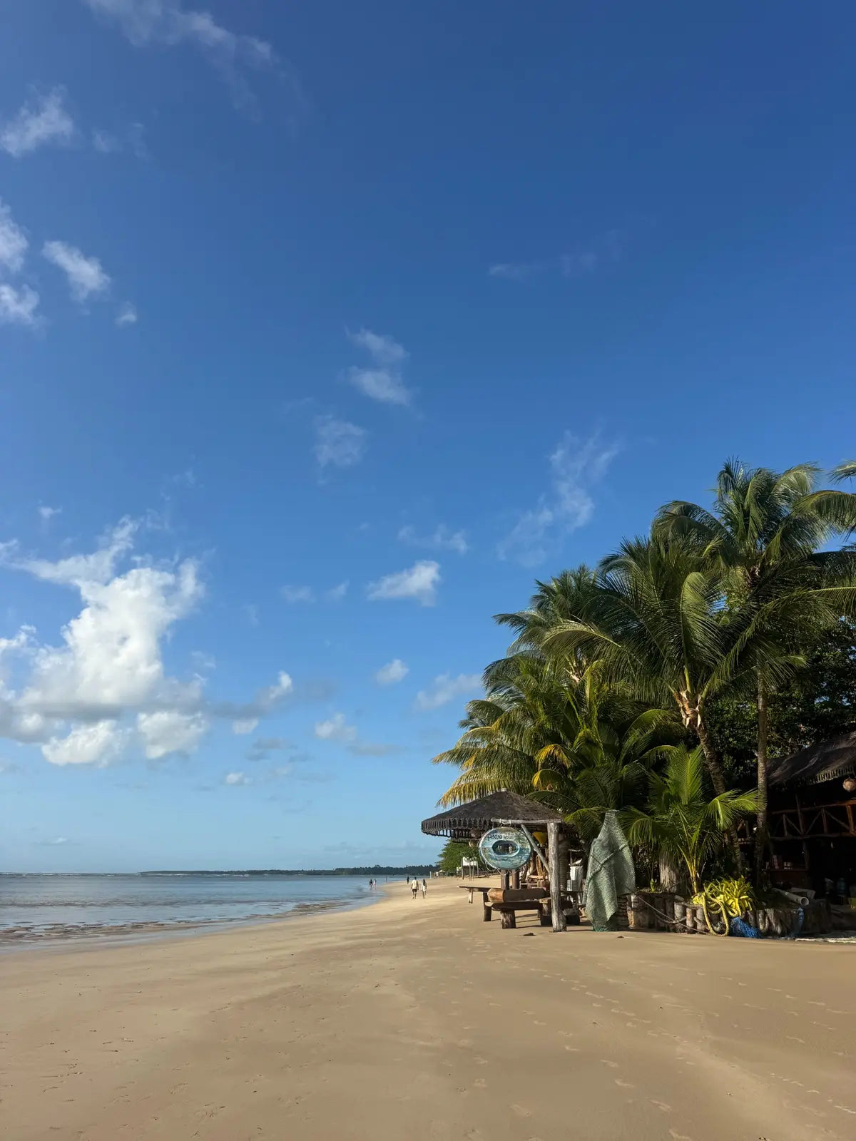 A quiet palm-lined beach on the coast of Bahia